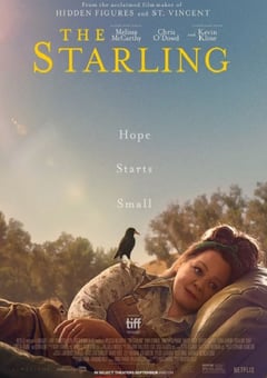 2021年美国剧情片《八哥》HD英语中字 4K网盘迅雷下载