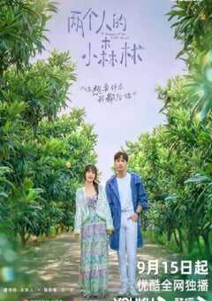 2022年国产大陆电视剧《两个人的小森林》全35集 4K网盘迅雷下载