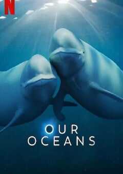 2024年英国电视剧《我们的海洋》全5集 4K网盘迅雷下载