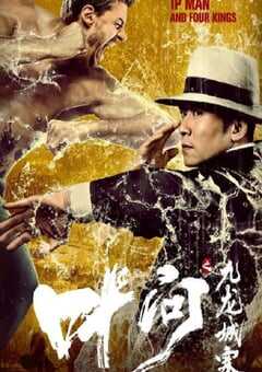 2019年国产动作片《叶问之九龙城寨》HD国语中字 4K网盘迅雷下载