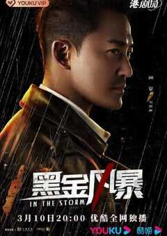 2022年国产大陆电视剧《黑金风暴》连载至26 4K网盘迅雷下载