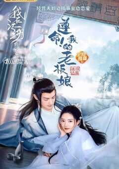 2022年国产剧情片《遵命！我的老板娘》HD国语中字 4K网盘迅雷下载