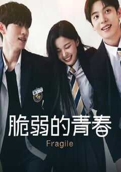 2024年韩国电视剧《脆弱》全8集 4K网盘迅雷下载