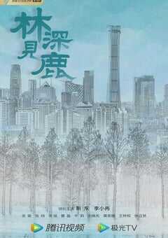 2022年国产大陆电视剧《林深见鹿》全40集 4K网盘迅雷下载