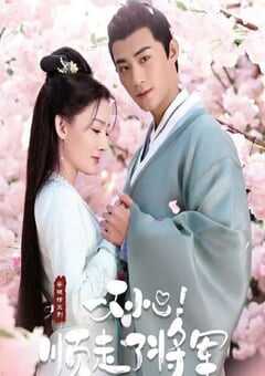 2022年国产大陆电视剧《一不小心顺走了将军》全31集 4K网盘迅雷下载