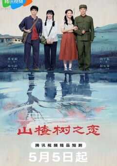 2025年国产大陆电视剧《山楂树之恋》全18集 4K网盘迅雷下载