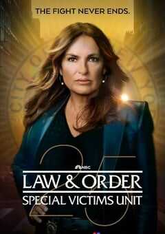 2024年美国电视剧《法律与秩序：特殊受害者 第二十五季》全13集 4K网盘迅雷下载