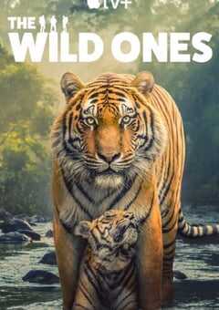 2025年英国纪录片《野性生灵》全6集 4K网盘迅雷下载