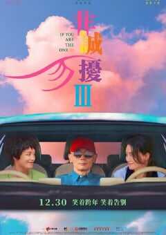 2023年国产喜剧爱情片《非诚勿扰3》HD国语中英双字 4K网盘迅雷下载