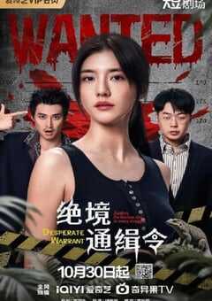 2025年国产大陆电视剧《绝境通缉令》全24集 4K网盘迅雷下载