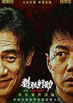 2025年国产动作片《猎狐·行动》HD国语中字修正版 4K网盘迅雷下载