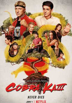 2020年美国电视剧《眼镜蛇 第三季》全10集 4K网盘迅雷下载