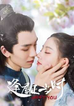 2021年国产大陆电视剧《逢君正当时》全12集 4K网盘迅雷下载