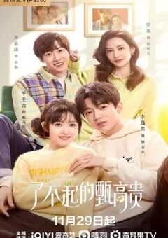 2023年国产大陆电视剧《了不起的甄高贵》全24集 4K网盘迅雷下载