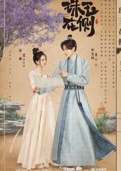 2024年国产大陆电视剧《珠玉在侧》全24集 4K网盘迅雷下载