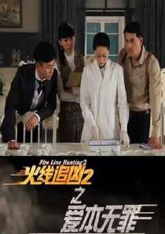 2013年国产经典动作片《火线追凶2之爱本无罪》HD国语中字 4K网盘迅雷下载