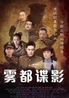 2017年国产大陆电视剧《摧毁》全40集 4K网盘迅雷下载