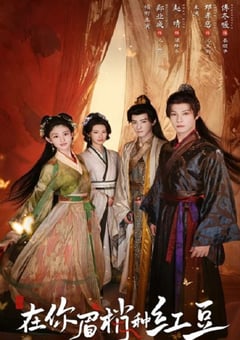 2026年国产大陆电视剧《在你眉梢种红豆》连载至13 4K网盘迅雷下载