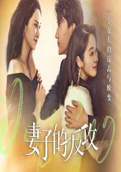 2021年国产大陆电视剧《妻子的反攻》全24集 4K网盘迅雷下载