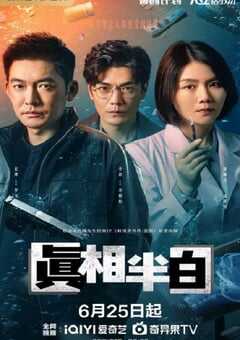 2025年国产大陆电视剧《真相半白》全25集 4K网盘迅雷下载