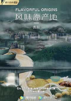 2021年国产大陆纪录片《风味原产地·贵阳》全10集 4K网盘迅雷下载