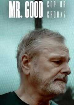 2022年挪威电视剧《埃里克·詹森：警察还是毒枭？》全4集 4K网盘迅雷下载