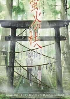 2011年日本经典动画片《萤火之森》蓝光日语中字 4K网盘迅雷下载