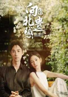 2024年国产大陆电视剧《向北的遗憾》全20集 4K网盘迅雷下载