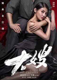 2017年国产徐冬冬悬疑犯罪片《大嫂》HD国语中字 4K网盘迅雷下载