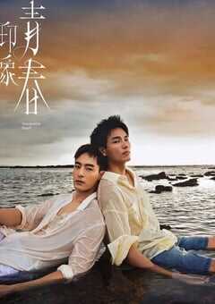 2025年中国台湾电视剧《印象·青春》全9集 4K网盘迅雷下载