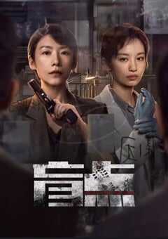 2025年国产大陆电视剧《盲点》全24集 4K网盘迅雷下载