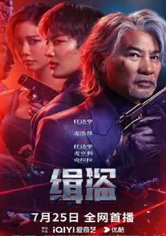 2025年中国香港犯罪片《缉盗》HD国语中字 4K网盘迅雷下载