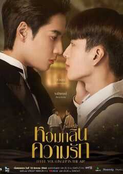 2023年泰国电视剧《我感觉到你在空气中徘徊》全12集 4K网盘迅雷下载