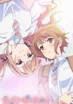 2024年日本动漫《恋爱无法用双子除尽》全12集 4K网盘迅雷下载