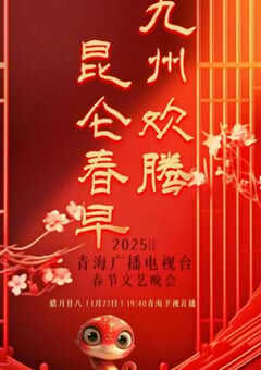 2025年国产真人秀《2025青海台春节晚会》HD国语中字 4K网盘迅雷下载