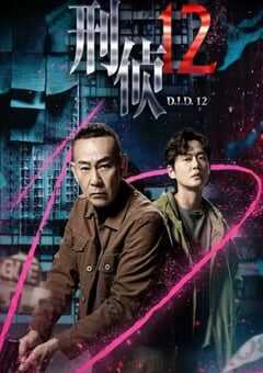 2025年中国香港电视剧《刑侦12 国语版》全25集 4K网盘迅雷下载