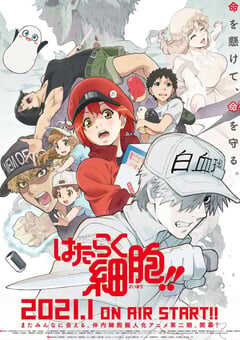 2021年恶霸动漫《工作细胞 第二季》全8集 4K网盘迅雷下载