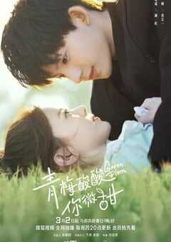 2023年国产大陆电视剧《青梅酸酸你微甜》全12集 4K网盘迅雷下载