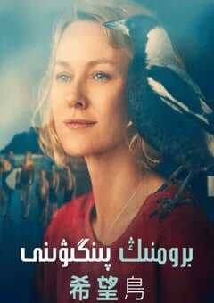 2020年澳大利亚剧情片《企鹅布鲁姆》BD中英双字 4K网盘迅雷下载