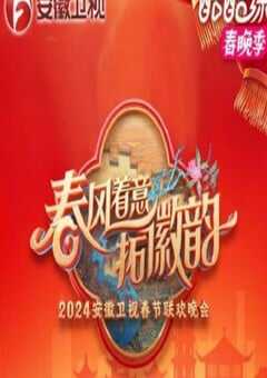 2025年国产真人秀《2025安徽卫视春节联欢晚会》HD国语中字 4K网盘迅雷下载