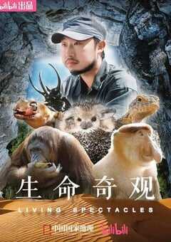 2024年国产大陆纪录片《生命奇观》全3集 4K网盘迅雷下载
