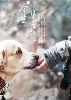 2018年国产大陆纪录片《今生，请多指教》全5集 4K网盘迅雷下载