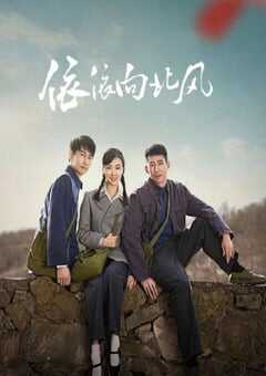 2025年国产大陆电视剧《依依向北风》全38集 4K网盘迅雷下载