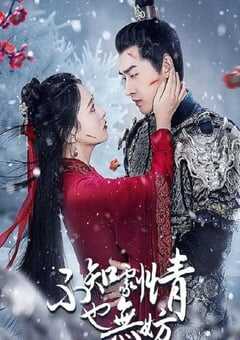 2024年国产大陆电视剧《不知剧情也无妨》全18集 4K网盘迅雷下载