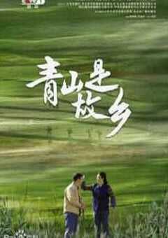 2025年国产大陆电视剧《青山是故乡》全29集 4K网盘迅雷下载