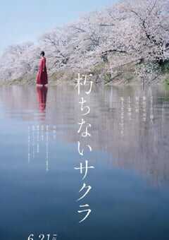 2024年日本悬疑剧情片《不朽的樱花》BD日语中字 4K网盘迅雷下载