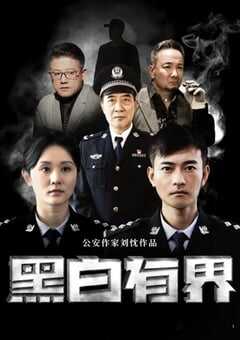 2024年国产犯罪片《黑白有界》HD国语中字 4K网盘迅雷下载