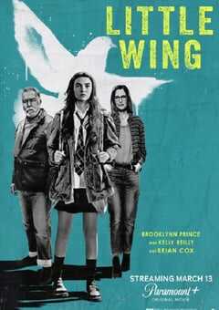 2024年美国运动片《小翅膀》BD中英双字 4K网盘迅雷下载