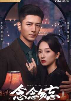 2024年国产大陆电视剧《念念勿忘》全24集 4K网盘迅雷下载