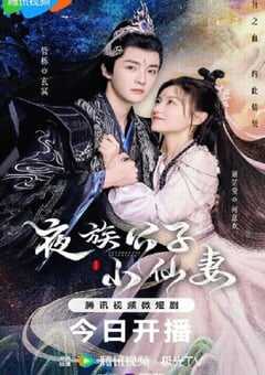 2023年国产大陆电视剧《夜族公子小仙妻》全25集 4K网盘迅雷下载